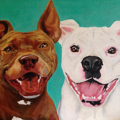 pit bull and boxer