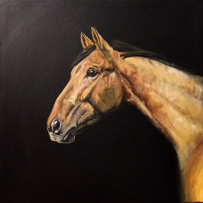 thoroughbred
