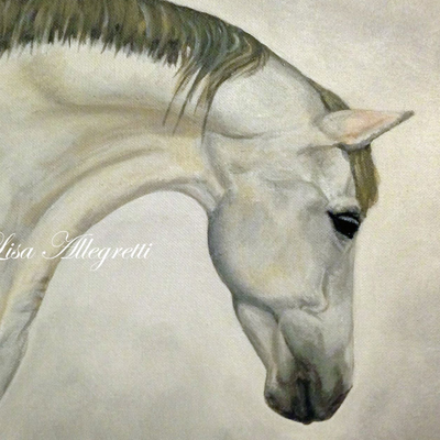 andalusian mare